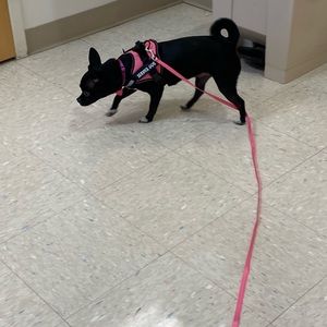 Meet your Posher, Lynne